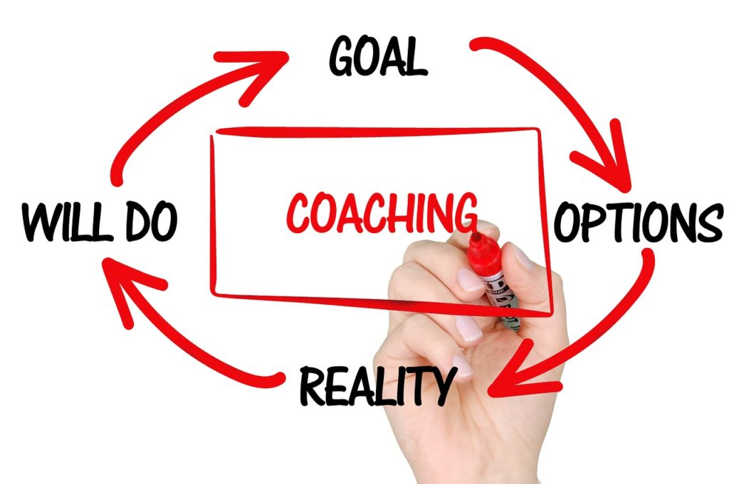 mentoring coaching 